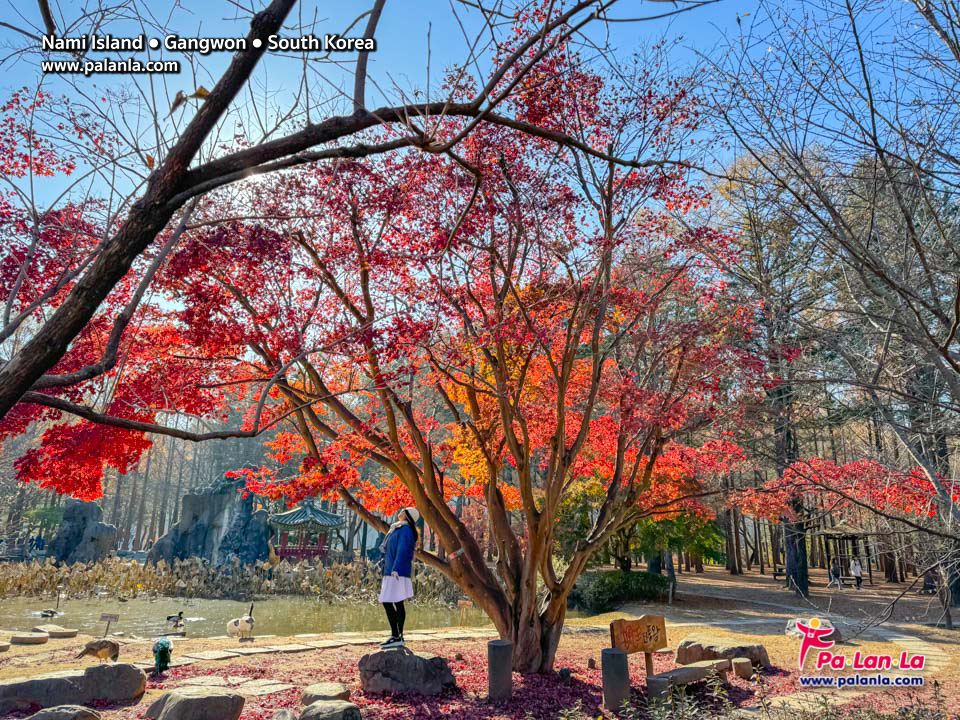 Nami Island